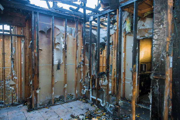 Professional Fire Damage Removal technician working in Hamburg, NJ
